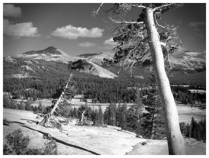 Tuolumne Meadows