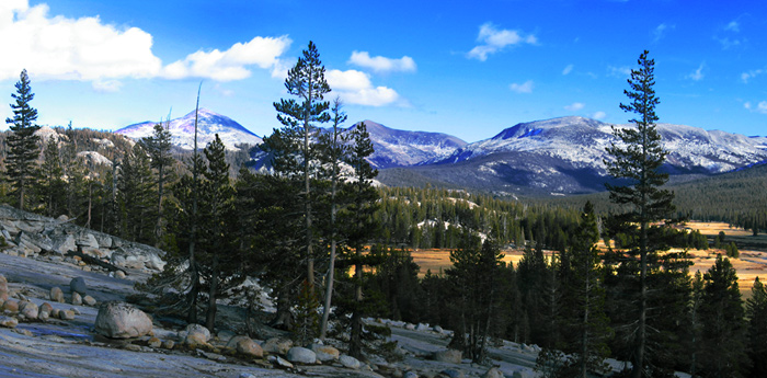 Tuolumne Valley