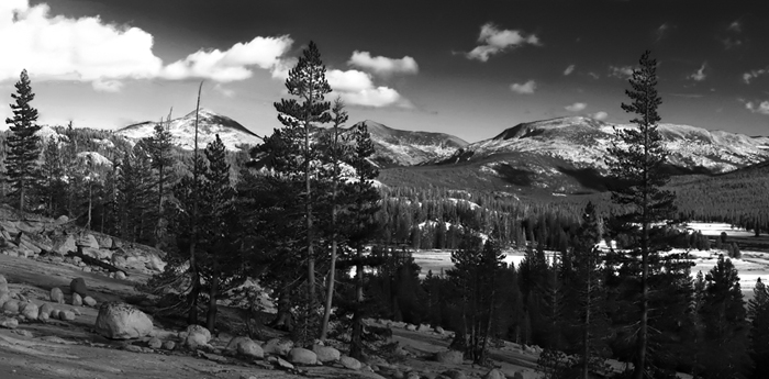 Tuolumne Valley b&w