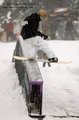 20071201_seymour_2207_forweb.jpg