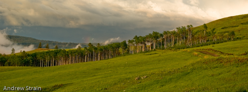 _IGP8588.jpg