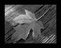 Winter coming soon