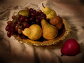 Golden Fruit Bowl