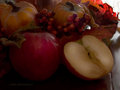 Jonah's Harvest
