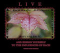 L I V E