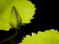 P8260643 tif.jpg