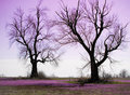 Sentries of Old