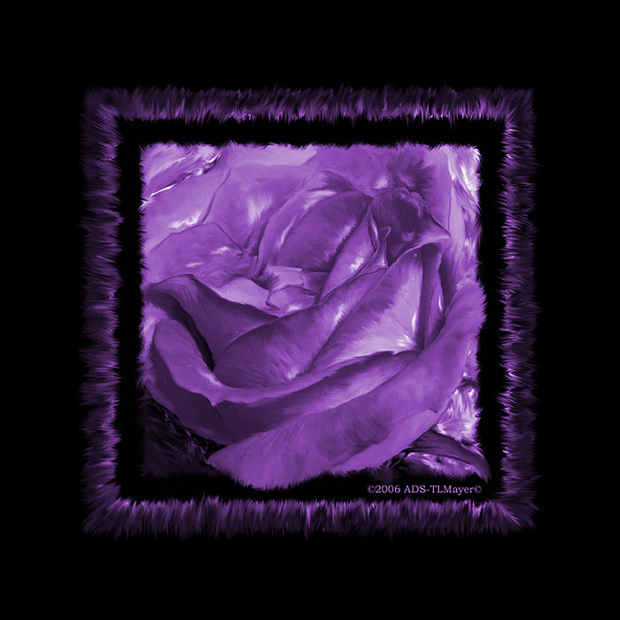Purple Rose