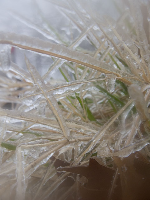Ice storm 1
