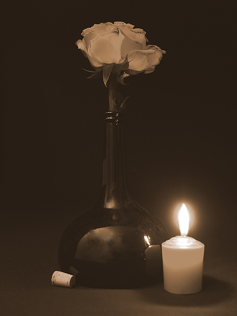 Day 28 - Rose 