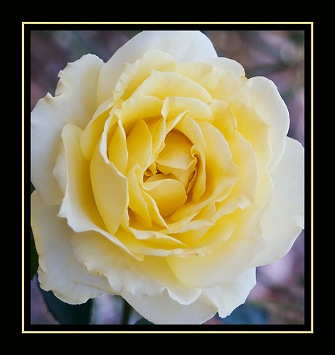 _A218909 dpc.jpg