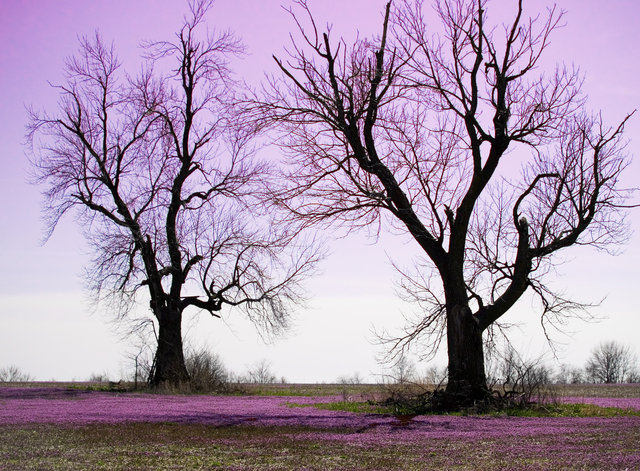 Sentries of Old