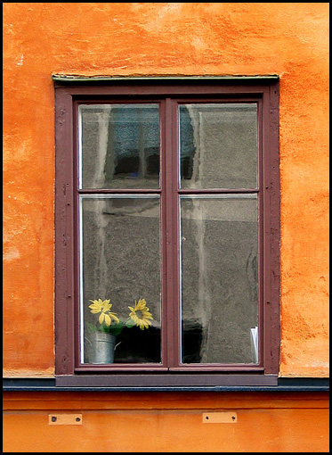 window.jpg