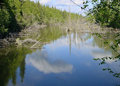 Lonely Pond