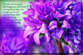 IMG_1464 copy.jpg