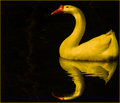 Goose Sphere