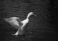 Take Off