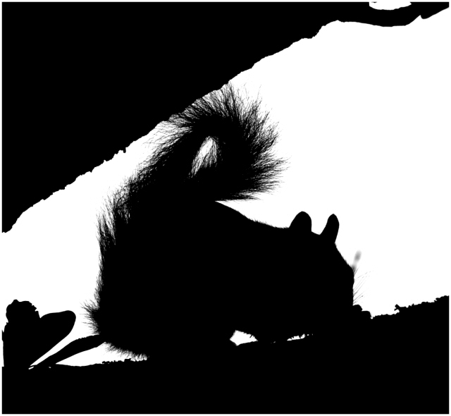 Squirrel Silhouette