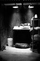 Elevator = Studio?