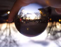 The Globe