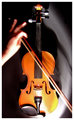 The violinist