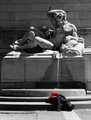 Neptune's Homeless