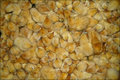 Snake food