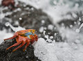 Playing in the water