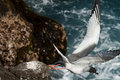 Taking off