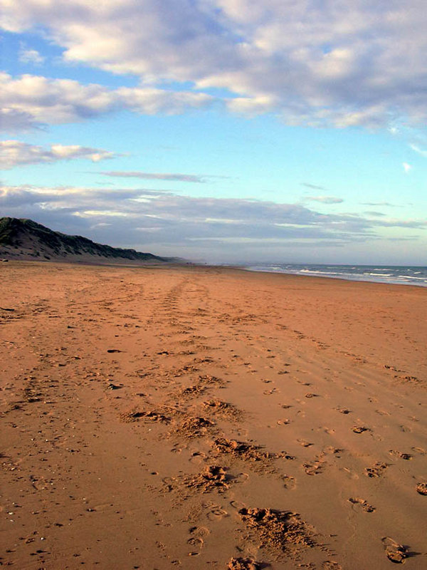 Footsteps on the beach