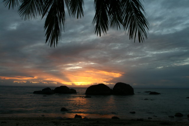 Tropical sunset