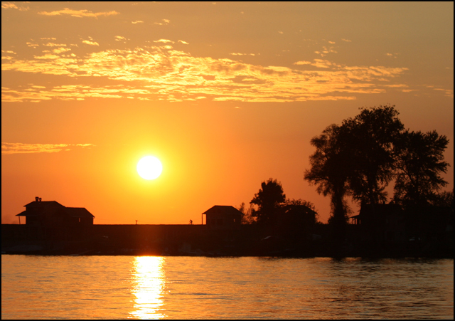 Sunset silhouettes
