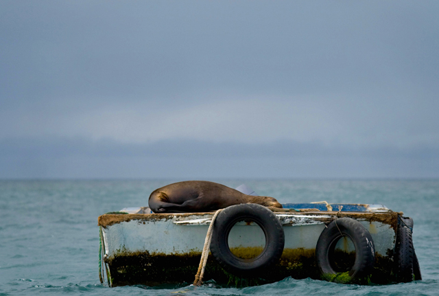 Siesta time