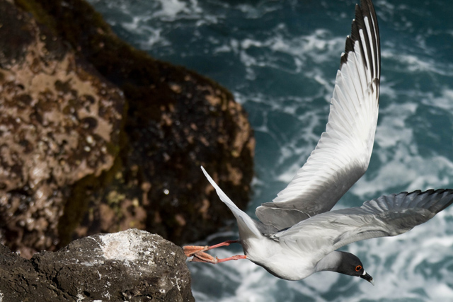 Taking off