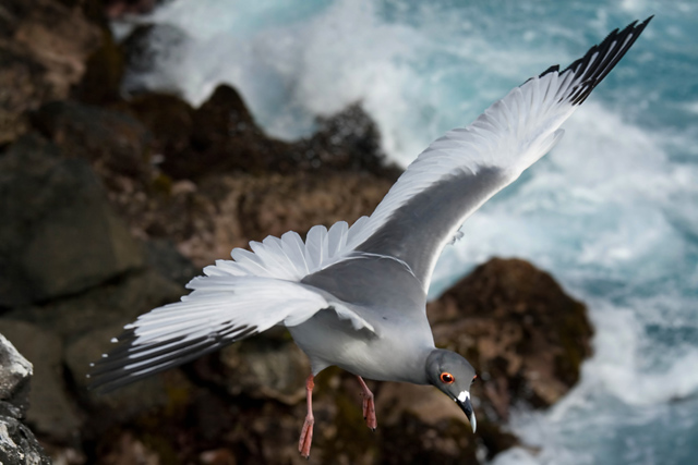 In flight