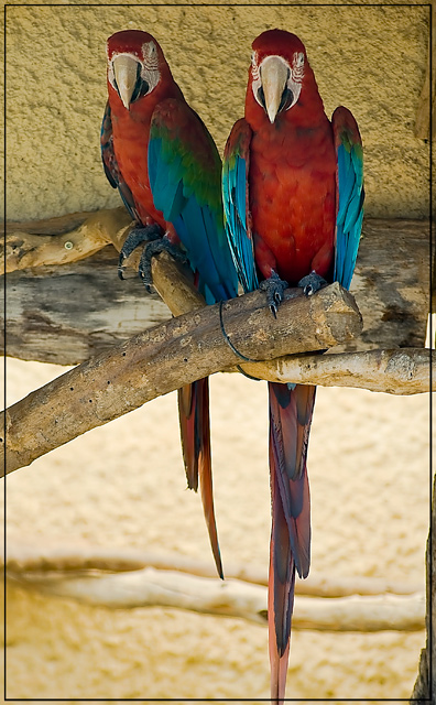 DSC_3577.jpg