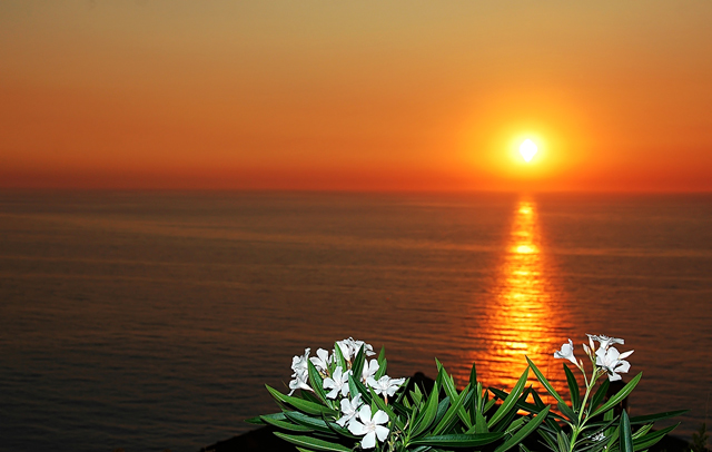 sunset.jpg