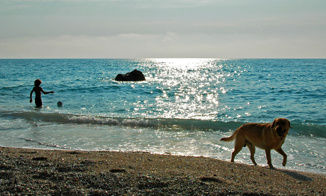 Kalamitsi-beach.jpg