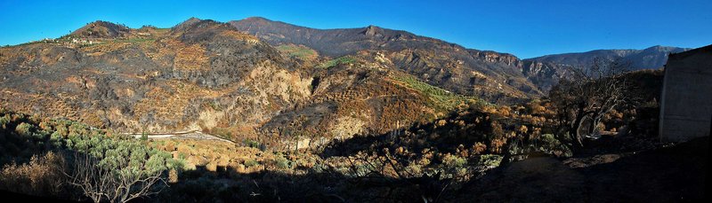 pano.jpg