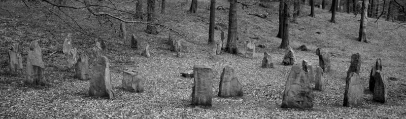Gorsedd Circle