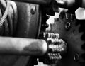 Winch Gears