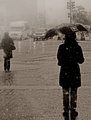 Snowy Silhouette-Alternate crop