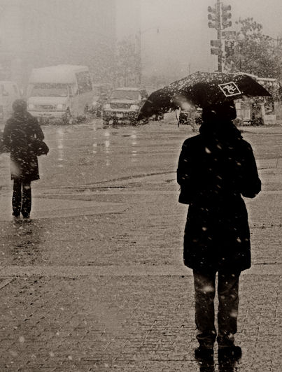 Snowy Silhouette-Alternate crop