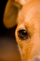 _MG_67450.jpg