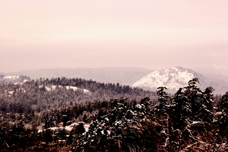 snowyscape