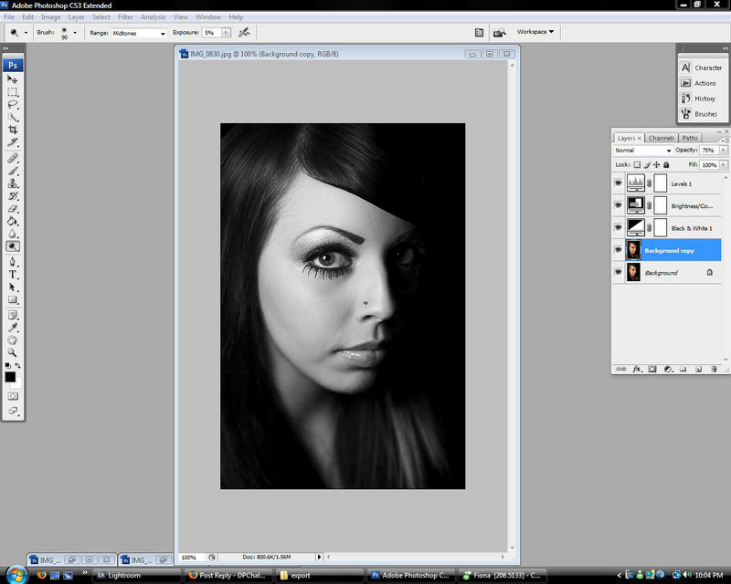 photoshopscreenshot.jpg