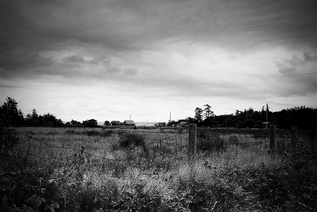 Desolation