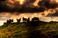 gibraltar-point-003.jpg