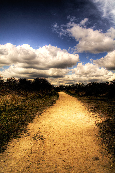 gibraltar point 004.jpg