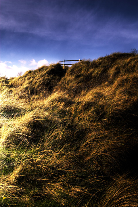 theddlethorpe-dunes-002.jpg